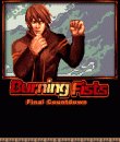 game pic for Burning Fists: Final Countdown